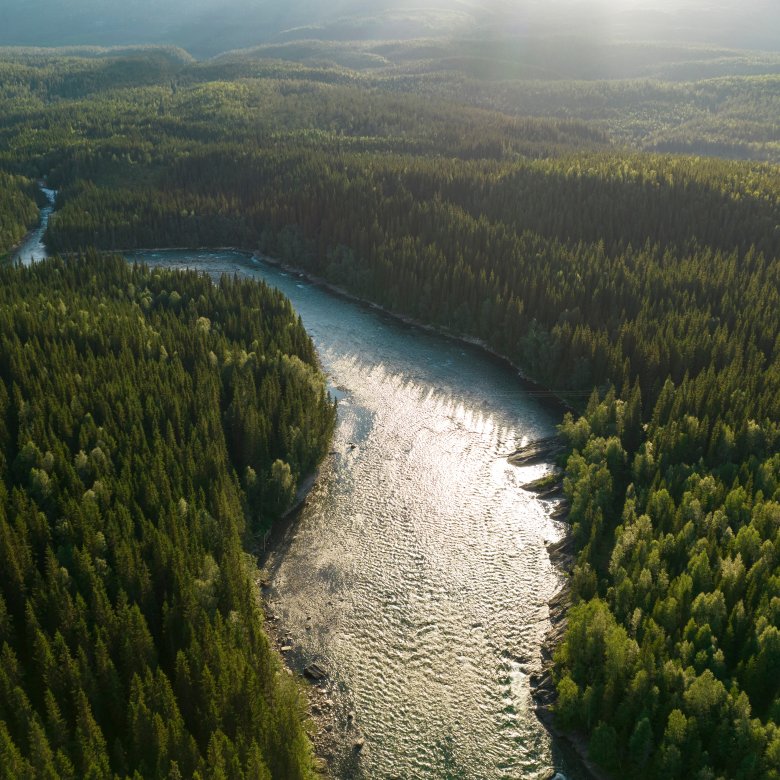 Luftfoto av en elv som slynger seg gjennom en tett skog i solnedgang.